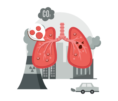 8 Effects of air pollution on lungs