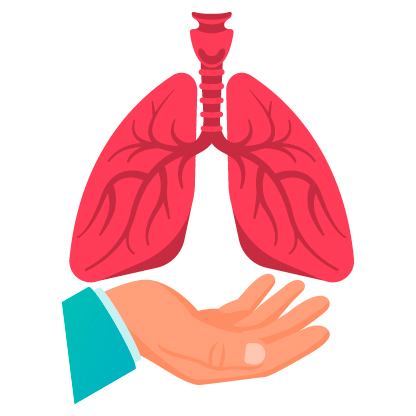 The image is not loaded