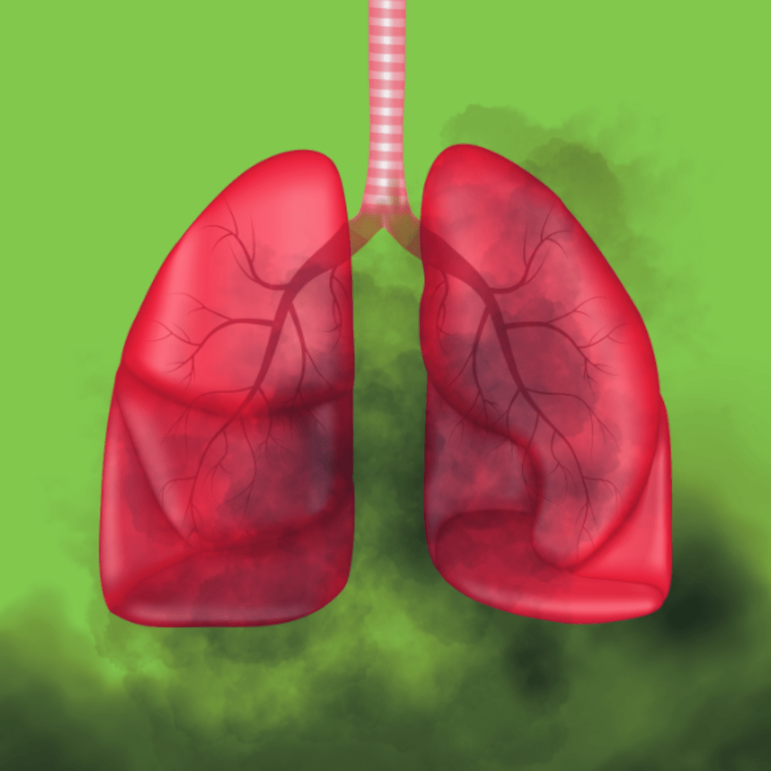 How to protect your lungs